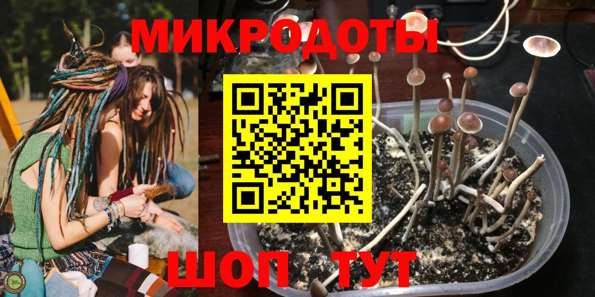 Псилоцибиновые грибы мухоморы Тольятти