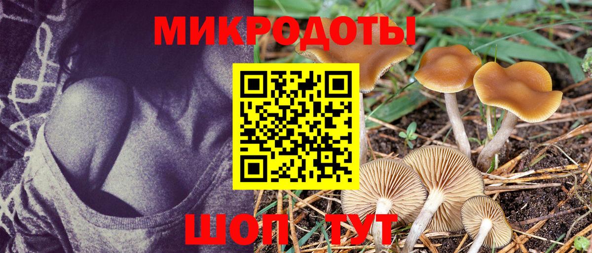 Галлюциногенные грибы Psilocybe  Вход с VPN  Тольятти 
